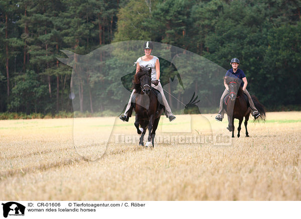 Frauen reiten Islnder / woman rides Icelandic horses / CR-01606