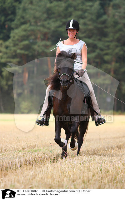 Frau reitet Islnder / woman rides Icelandic horse / CR-01607