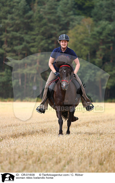 Frau reitet Islnder / woman rides Icelandic horse / CR-01608