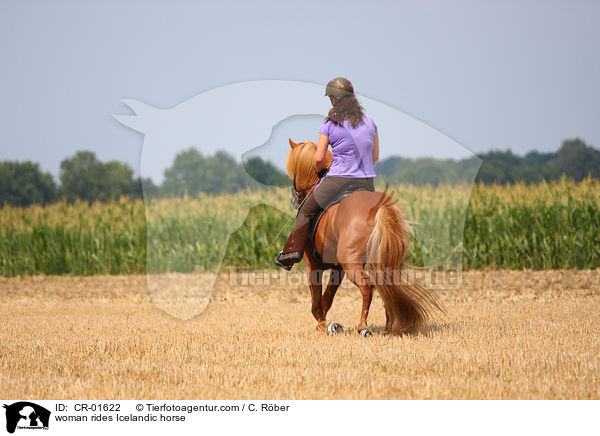 Frau reitet Islnder / woman rides Icelandic horse / CR-01622