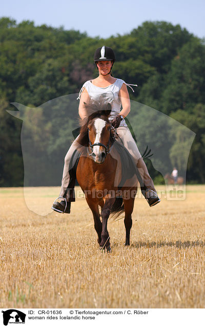 Frau reitet Islnder / woman rides Icelandic horse / CR-01636
