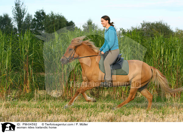 Frau reitet Islnder / woman rides Icelandic horse / PM-04592