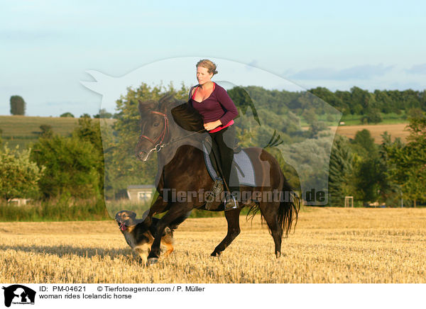 woman rides Icelandic horse / PM-04621