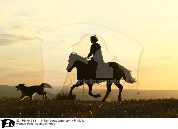 woman rides Icelandic horse / PM-04631