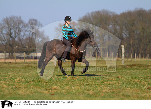 Frau reitet Islnder / woman rides Icelandic horse / CR-02031