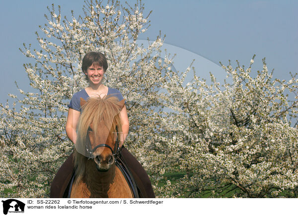 Frau reitet Islnder / woman rides Icelandic horse / SS-22262