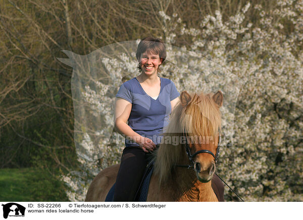 Frau reitet Islnder / woman rides Icelandic horse / SS-22266