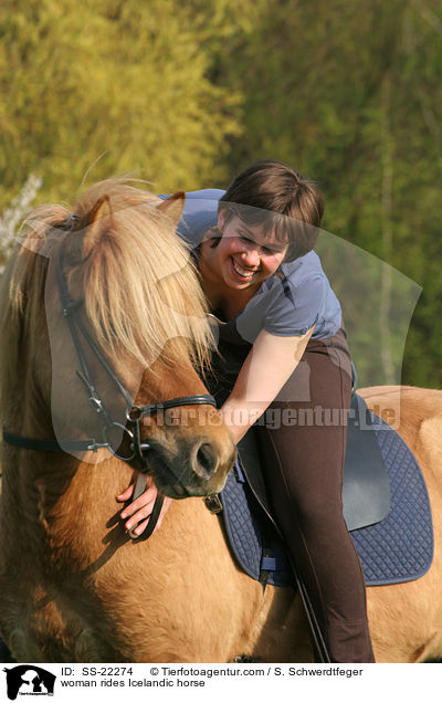 Frau reitet Islnder / woman rides Icelandic horse / SS-22274