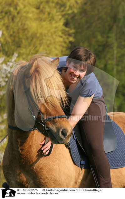 Frau reitet Islnder / woman rides Icelandic horse / SS-22275