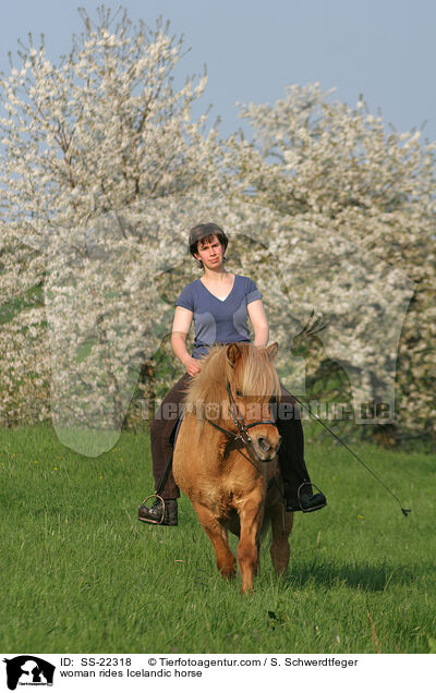 woman rides Icelandic horse / SS-22318