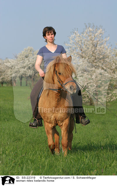 woman rides Icelandic horse / SS-22319