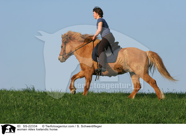 Frau reitet Islnder / woman rides Icelandic horse / SS-22334