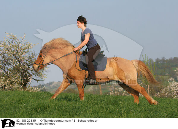 woman rides Icelandic horse / SS-22335