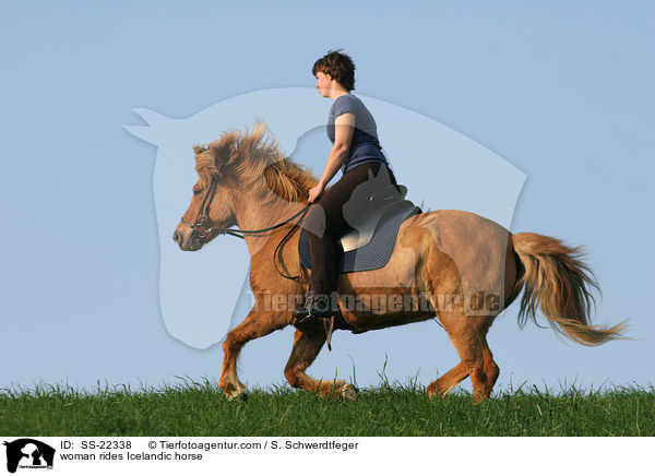 Frau reitet Islnder / woman rides Icelandic horse / SS-22338