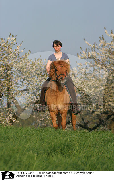 woman rides Icelandic horse / SS-22344
