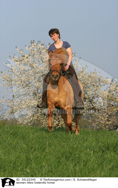 Frau reitet Islnder / woman rides Icelandic horse / SS-22345