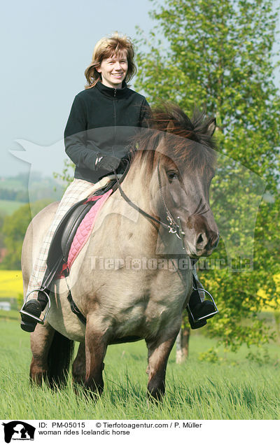 Frau reitet Islnder / woman rides Icelandic horse / PM-05015