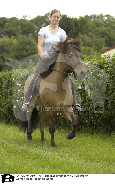 Frau reitet Islnder / woman rides Icelandic horse / CD-01869