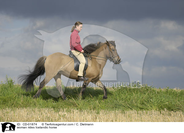 Frau reitet Islnder / woman rides Icelandic horse / CD-01874