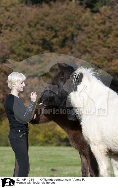 Frau mit Islndern / woman with Icelandic horses / AP-10441