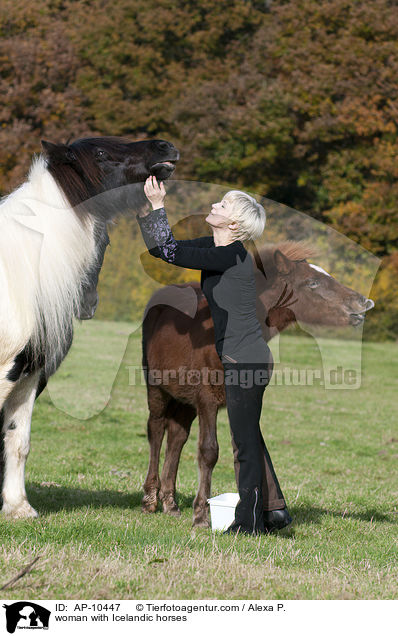 woman with Icelandic horses / AP-10447
