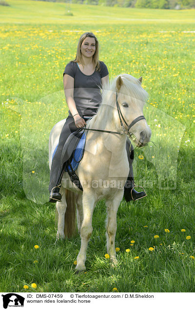 Frau reitet Islnder / woman rides Icelandic horse / DMS-07459