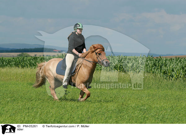 Reiter / rider / PM-05261