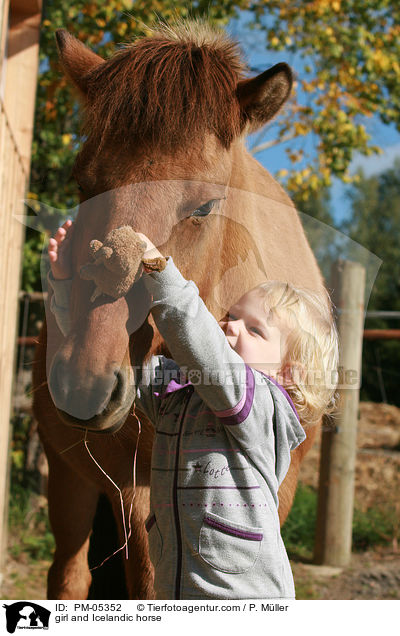 Mdchen und Islnder / girl and Icelandic horse / PM-05352