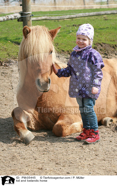 kid and Icelandic horse / PM-05445