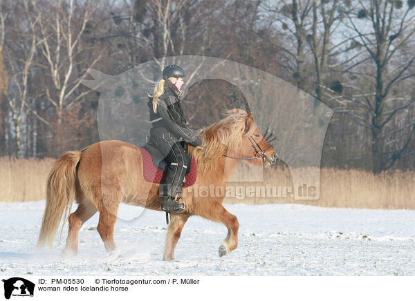 Frau reitet Islnder / woman rides Icelandic horse / PM-05530
