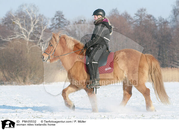 Frau reitet Islnder / woman rides Icelandic horse / PM-05532