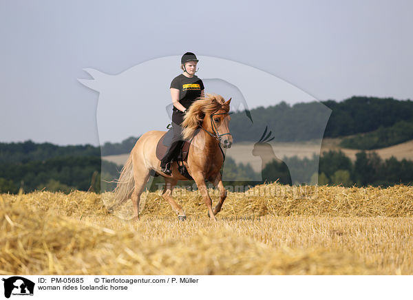 Frau reitet Islnder / woman rides Icelandic horse / PM-05685