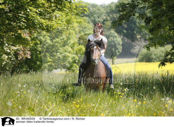 Frau reitet Islnder / woman rides Icelandic horse / RR-66509