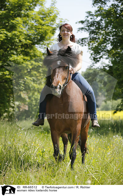 Frau reitet Islnder / woman rides Icelandic horse / RR-66512
