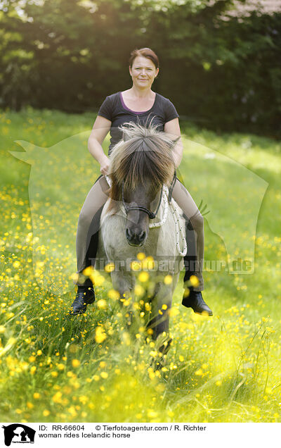 Frau reitet Islnder / woman rides Icelandic horse / RR-66604