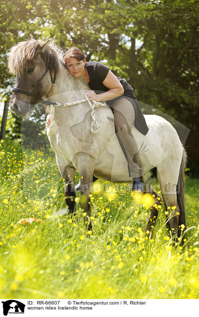 Frau reitet Islnder / woman rides Icelandic horse / RR-66607