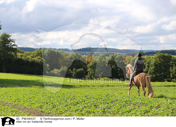 Reiter auf Islnder / rider on an Icelandic horse / PM-06037