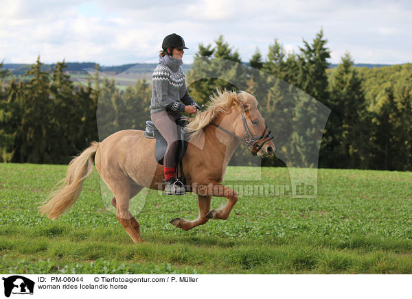 Frau reitet Islnder / woman rides Icelandic horse / PM-06044