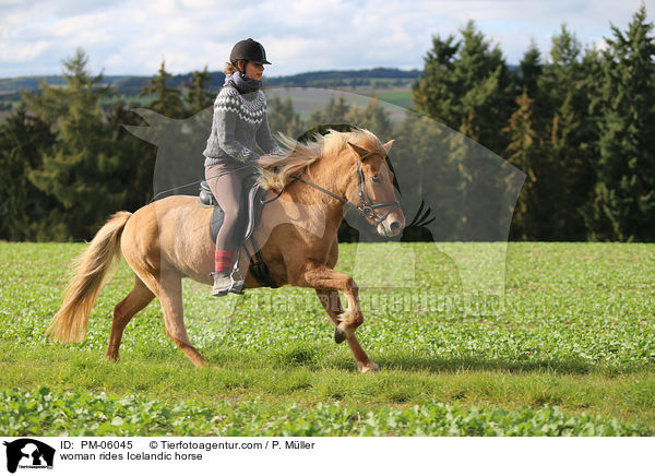 Frau reitet Islnder / woman rides Icelandic horse / PM-06045