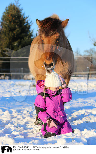 Mdchen und Islnder / girl and Icelandic horse / PM-06166