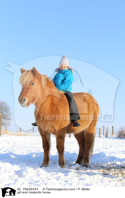 Mdchen und Islnder / girl and Icelandic horse / PM-06453