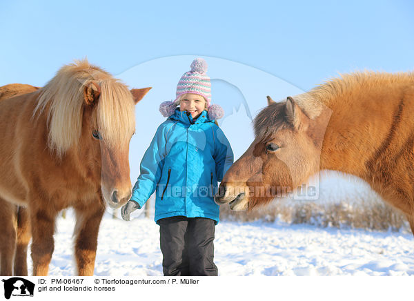 Mdchen und Islnder / girl and Icelandic horses / PM-06467