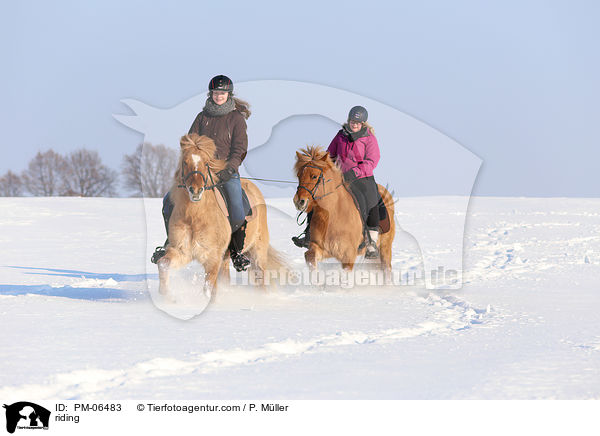 Ausritt / riding / PM-06483