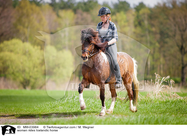 woman rides Icelandic horse / MW-03984