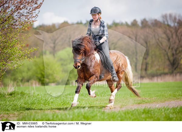 woman rides Icelandic horse / MW-03985
