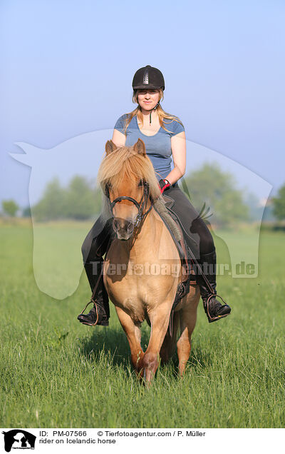 Reiterin auf Islnder / rider on Icelandic horse / PM-07566