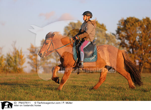 Reiterin auf Islnder / rider on Icelandic horse / PM-07611
