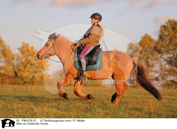 Reiterin auf Islnder / rider on Icelandic horse / PM-07615