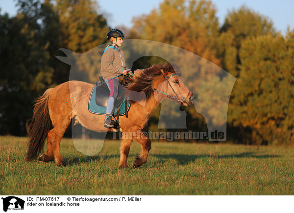 Reiterin auf Islnder / rider on Icelandic horse / PM-07617