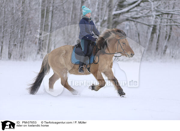 Reiterin auf Islnder / rider on Icelandic horse / PM-07653